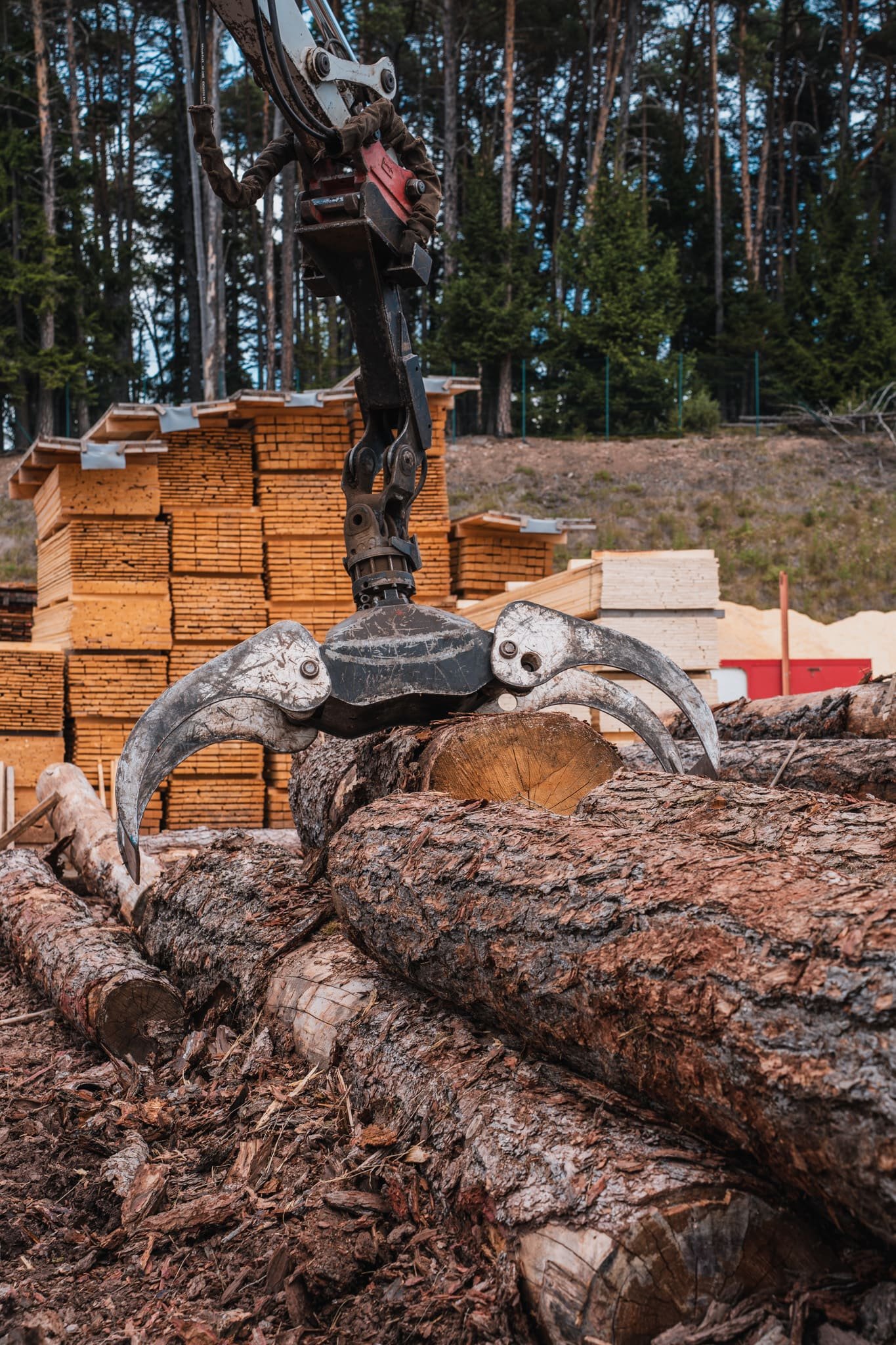 Holzgreifer über Rundholz